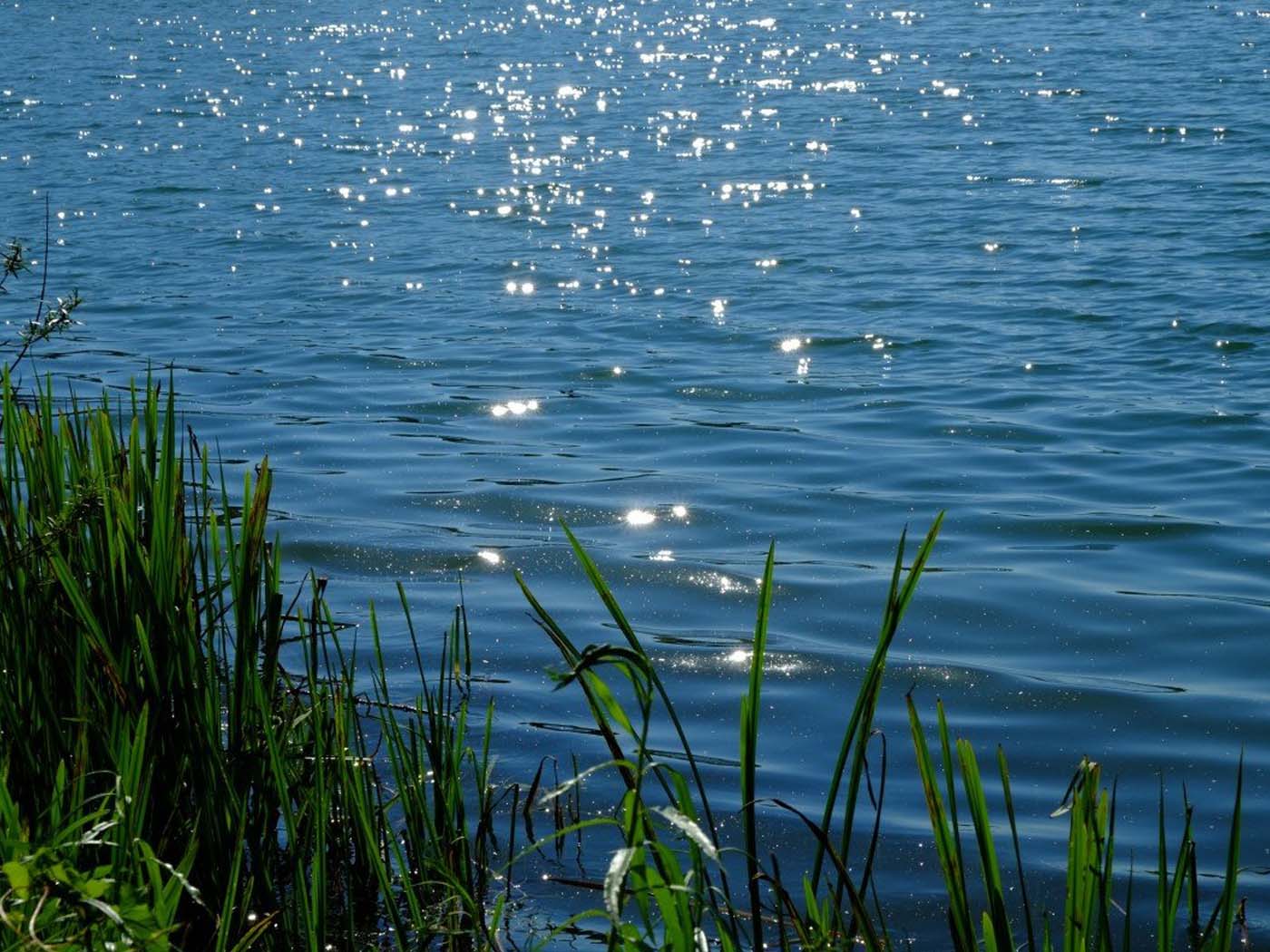 Водоисточник для системы полива